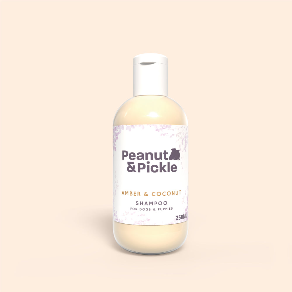 Amber & Coconut | Dog & Puppy Conditioning Shampoo