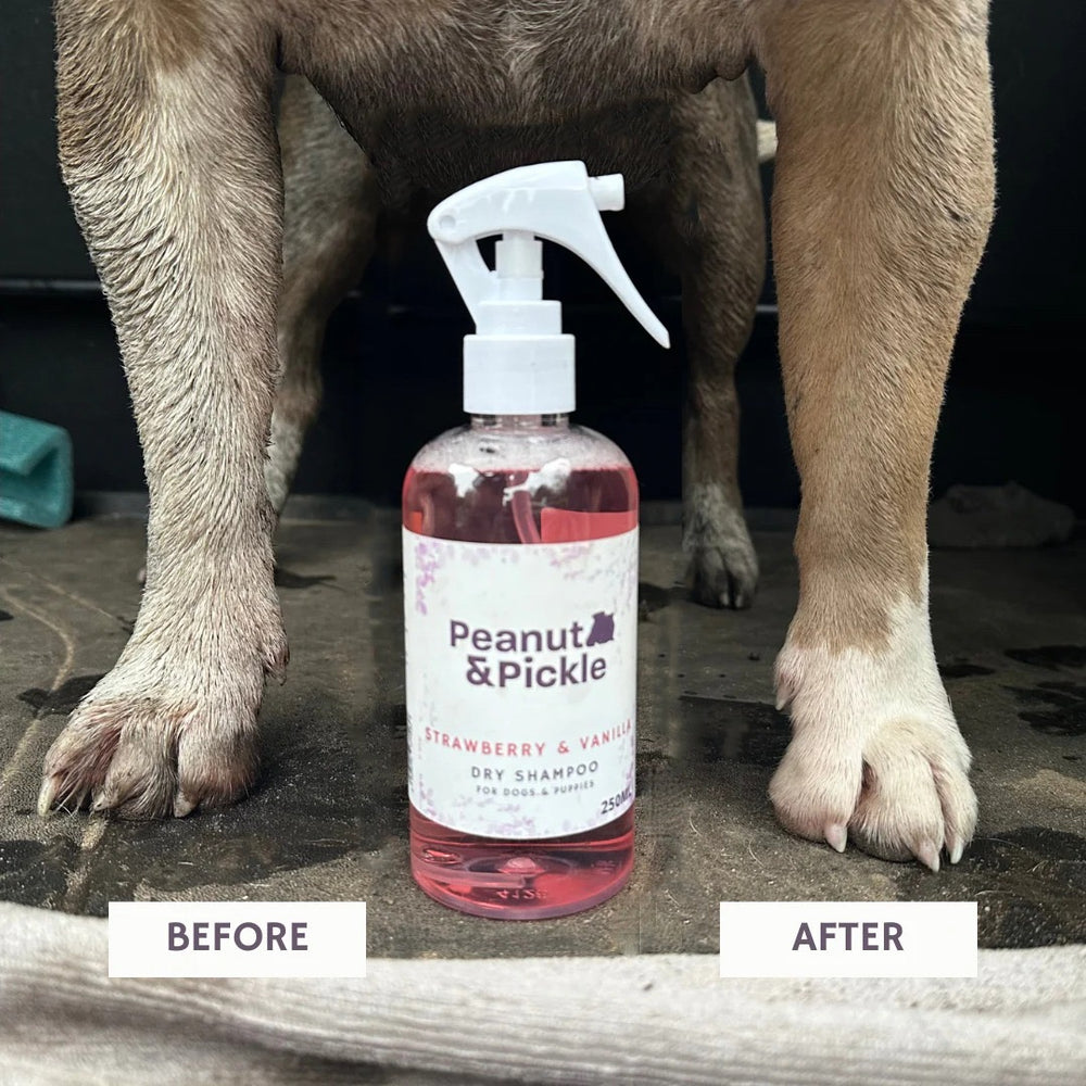 Strawberry & Vanilla | Dog & Puppy Dry Shampoo | 250ml