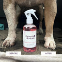 Strawberry & Vanilla | Dog & Puppy Dry Shampoo | 250ml