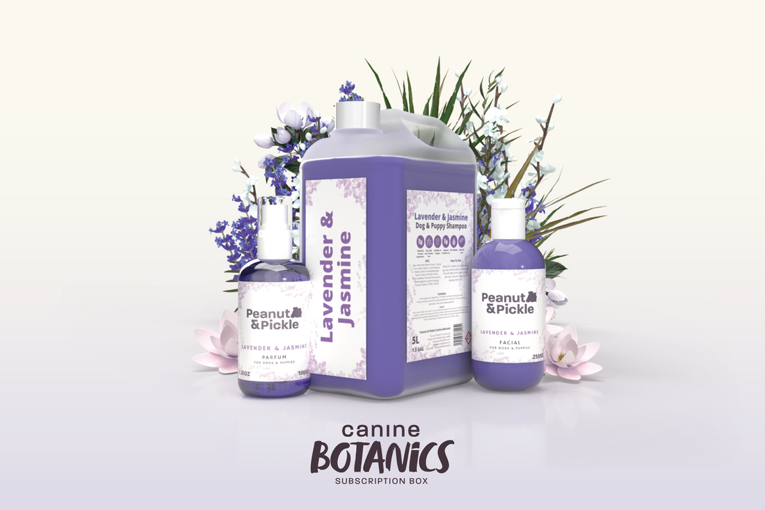 Canine Botanics October Media Pack