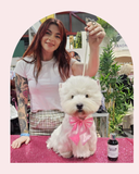 Seminar Sunday | Edinburgh | 08/02/26