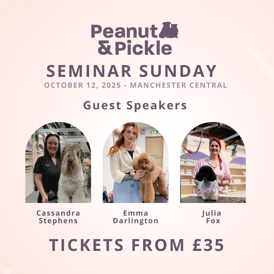 Seminar Sunday | Manchester In Person Seminar Event