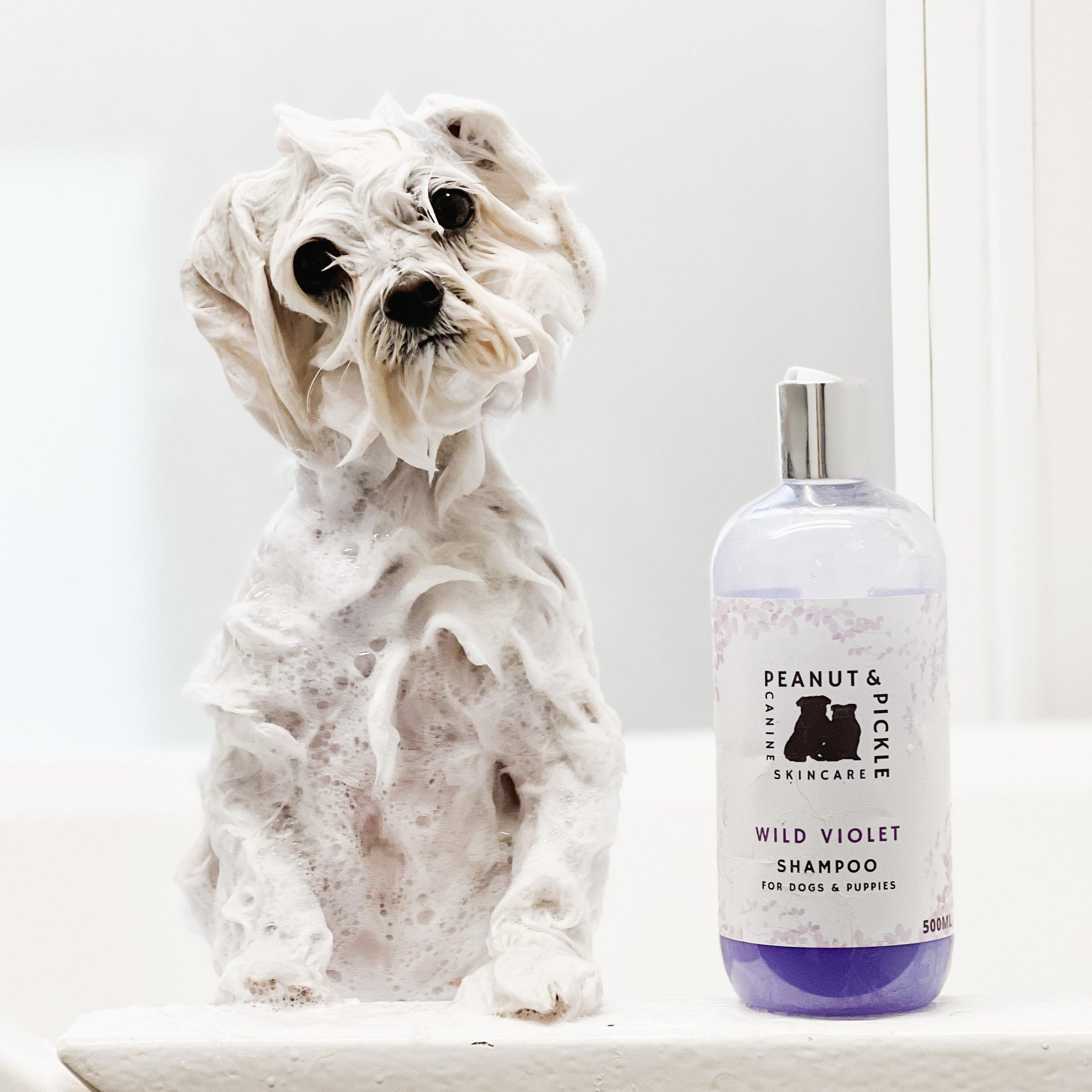 Wild Violet - Dog &amp; Puppy Shampoo - Peanut and Pickle