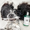 Ear Me Out - Dog & Puppy Ear Cleaner - Peanut and Pickle